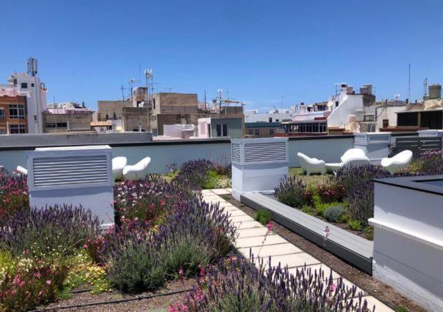 Appartamento Zen Garden Las Palmas de Gran Canaria Esterno foto