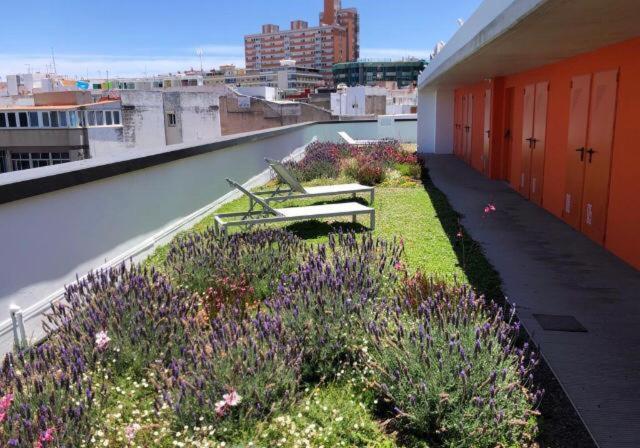 Appartamento Zen Garden Las Palmas de Gran Canaria Esterno foto